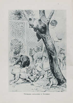 Шкляр Н.Г. Повесть о зоопарке. Люди. Дела. Достижения / Рис. В.А. Ватагина, А.Н. Комарова и Н.Г. Котова. М.; Л., 1939.